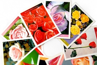 Cartes postais Rosas - Coleo II