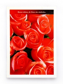 Cartes postais Rosas - Coleo II